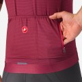 Heren Fietskleding Trofeo Giro d'Italia 2024 jersey - bordeaux