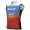 Heren Fietskleding Ale Team Jayco Alula 2024 Windvest
