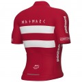 Heren Fietskleding Ale Deens elftal 2025 shirt