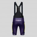 Heren Fietskleding Gobik Wilier Vittoria 2025 Absolute Print K10 Bib Tights