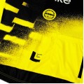 Heren Team Visma Lease a Bike 2025 The Wingbeat Shirt - Wout Van Aert
