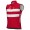 Heren Ale Deense Nationale Team Vest 2025