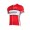 WILIER 2015 wit rood Fietsshirt Korte Mouwen 2296