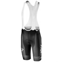 TEAM SKY 2019 Korte fietsbroeken Bib 190224037